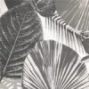 Palm-Leaf-Modern-Wallpaper1