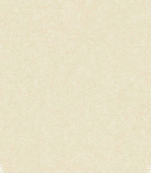 Modern-Simple-Style-PVC-Wallpaper-5